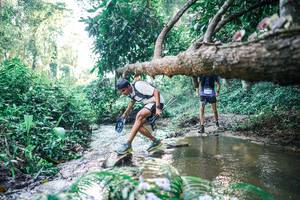 BIB: 
                            <button type="button" onclick="openModal(25433703)" class="btn btn-primary btn-sm float-right btn-popup" data-toggle="modal" data-target=".modal-high-quality">
                        <i class="fas fa-shopping-cart"></i> Add to Cart
                    </button>
                                            <button type="button" onclick="isThisMe(25433703, true)" class="btn btn-success btn-sm float-right btn-popup btn-isme hidden" data-toggle="tooltip" data-placement="bottom" title="นี่คือรูปของคุณใช่ไหม คลิกที่นี่เพื่อเอาเข้าอัลบั้ม">
                        <i class="fas fa-plus"></i> Add to album
                    </button>
                    <button type="button" onclick="isThisMe(25433703, false)" class="btn btn-warning btn-sm float-right btn-popup btn-isnotme hidden">
                        <i class="fas fa-ban"></i> Remove from album
                    </button>